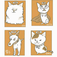これまでのお話