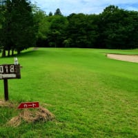 白ウサギ ホームホールを ご案内 我もラビット ピョンと跳ぶだけ