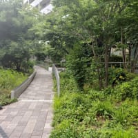 梅ヶ丘はステキな街