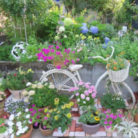 ２０２５．０６．２８　今日のブログ