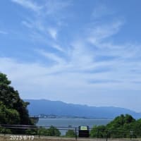 ２０２５．６・１３　琵琶湖博物館その２水族展示室