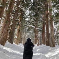 雪の戸隠神社
