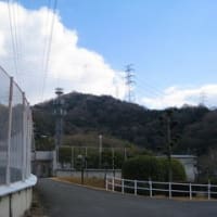 リハビリ山登り