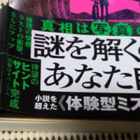 先ずは実店舗で探すと言ったな、あれは結果的に嘘だ（堂々）