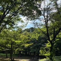 ポソポソ…としか話せなかった日