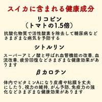 熱中症対策　スイカ