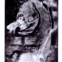 「第40回《全国公募》南九州水墨画展」＆墨画--松下美術館の軌跡」展（2025）・・・鹿児島市立美術館　