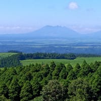 記事を更新しました！7月27日（日）