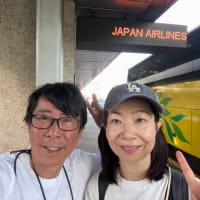 夫婦でハワイ旅行
