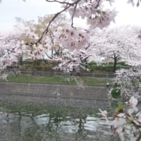 荒子川