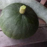 収穫だけでもと