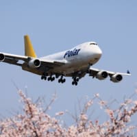 おっさんの一人旅？桜とあれを撮りに