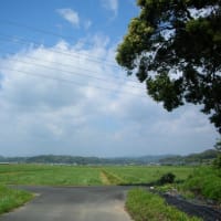 新緑の季節