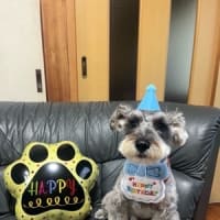 Happy birthday 🎂 