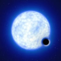 連星系“VFTS 243”のブラックホールは超新星爆発を伴わずに誕生していた!? 太陽の約10倍の質量を持つ恒星が完全崩壊を起こす可能性