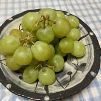 もやしのかき揚げ