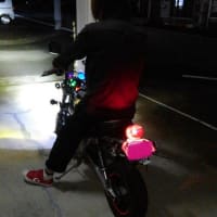 ゴリラの作業が、ようやく終わった・・