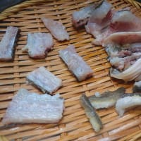 メゴチがマゴチに化けた日（後編）
