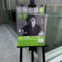 #安藤忠雄#青春