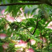 蒸し暑い・・・