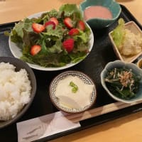 大阪トンボ帰り