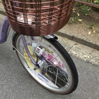 軽くて乗りやすいオールアルミの「ミスティライト２２」・・・