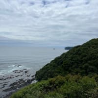 尾鷲港から伊勢志摩ヨットハーバー