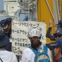 小説キャナルタウン   151　ブルーオーシャン「みらいへ」帆船と遊ぼう㏌兵庫埠頭