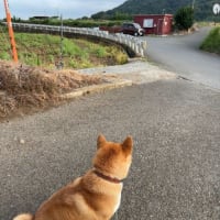空を見に須軽谷の高台に向かって