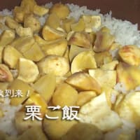 夏が過ぎれば秋！なんである