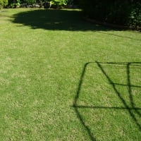 芝生を15mmで刈りをしました(^_-)