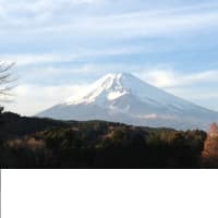 富士です・・・この冬は雪が多く、富士が一段ときれいです。