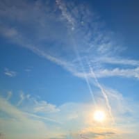 今日は晴れ　2025年6月27日