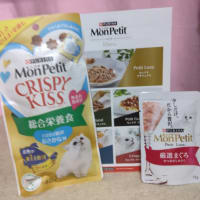 届けられていたＤＭ