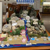 鳥取旅行 ～砂の美術館・鳥取砂丘～