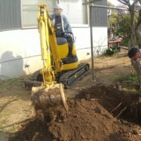 川崎市中原区の個人邸の庭のリフォーム。掘り取り、根巻き。
