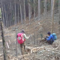 福岡県の山々を歩く