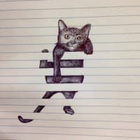 catのルール