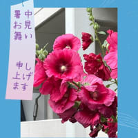 今日いち-2025年7月13日