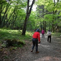 浅間高原シャクナゲ園・伊香保森林公園