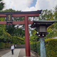 根津神社 夏越しの大祓