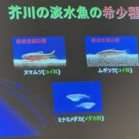 たかつき市民環境大学