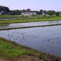 小出川・茅ヶ崎里山公園～ポタリング