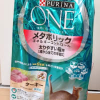 我が家のキャットフード〜猫餌の話〜