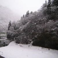東北のなごり雪
