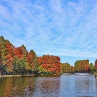思い出の別所沼公園