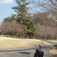 ショート・コース