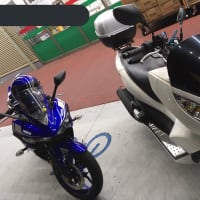 PCXと並ぶ