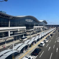 1年ぶり何度目だ⁉︎