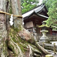 トランプ関税・ドラマのゆくえ　③
